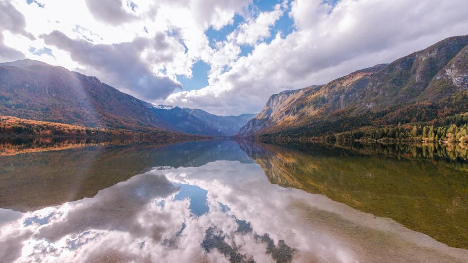Still lake water, the habitat that drives the heavy mosquito pressure around Lake Olympia